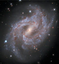 Cosmology with the Cosmic Web - Yanchuan Cai 